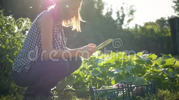 农民女孩带数字平板蔬菜作物在厨房花园收获时间家庭农场主的概念视频的预览图