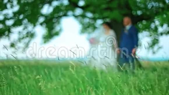 模糊的婚礼情侣漫步森林视频的预览图