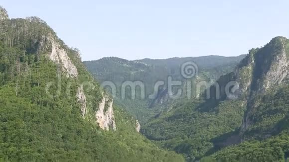 塔拉河黑山峡谷塔拉杜米特地区倾斜运动山河夏日空中鸟瞰视频的预览图