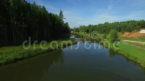 森林附近河流的景观视频的预览图