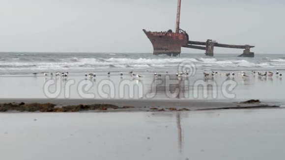 摩洛哥海滩上的沉船视频的预览图