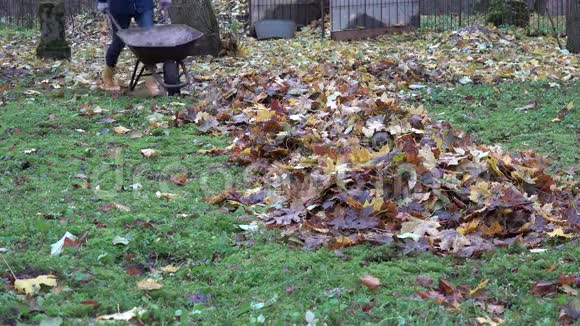 在秋天的后院女园丁用干叶装着生锈的手推车4K视频的预览图