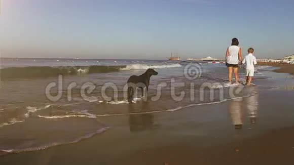 母亲和儿子沿着海岸走着被一只大黑猎犬看着视频的预览图