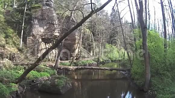傍晚山谷春天捷克自然与罗伯茨基波托克溪视频的预览图