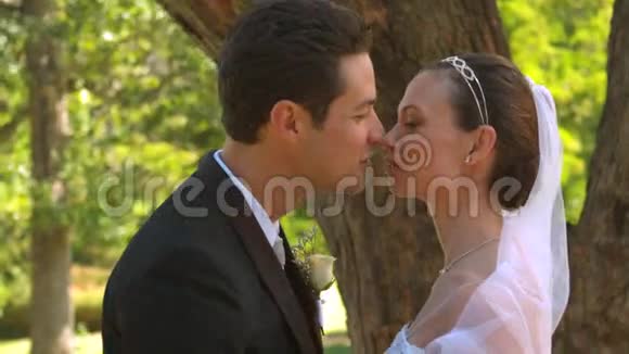 新婚夫妇在公园里接吻视频的预览图