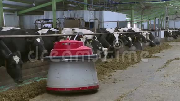 智能机器人在农业机器人中的概念农民被编程为在农场场所工作的动物喂养视频的预览图