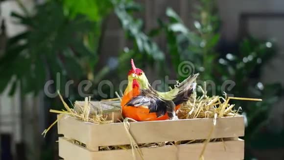 旋转节日的复活节构图在光线下在一个木箱里在一根稻草里有一只小母鸡接下来视频的预览图