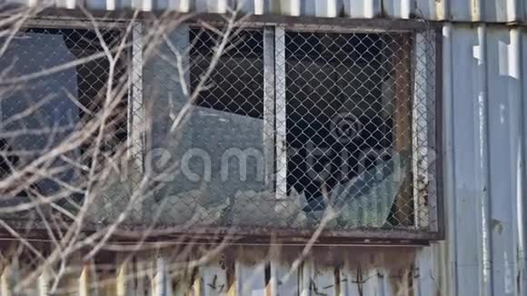 玻璃废弃窗户仓库厂房破损户外活动监视打破窗户视频的预览图