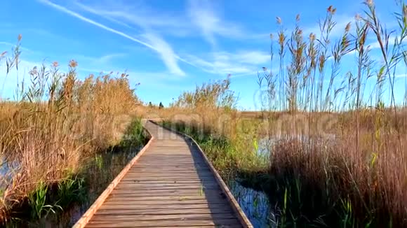 在Pego和Oliva的湿地自然公园LaMarjal的一个鸟类观测站的木径视频的预览图