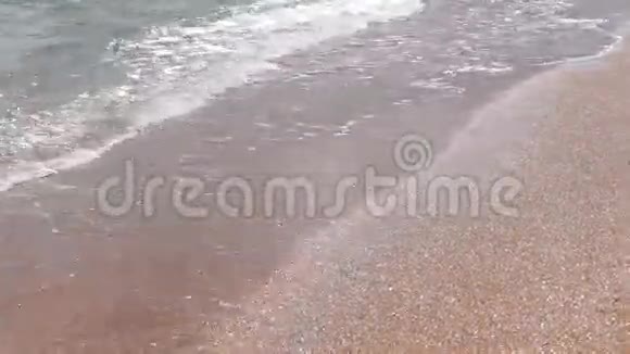 金色沙滩冲浪视频的预览图