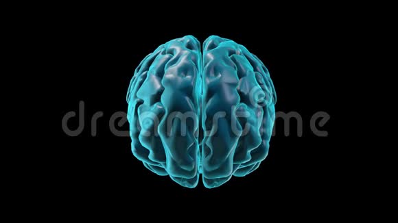 大脑海马3D部分视频的预览图