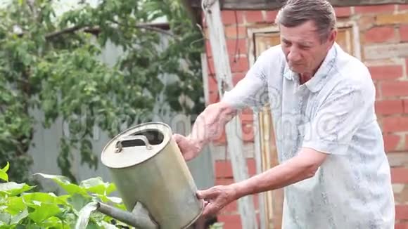花园里的人用水罐给植物浇水视频的预览图