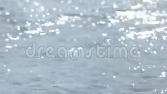 水面一个背景视频的预览图