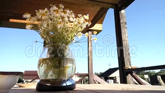 玻璃花瓶里的户外摄像机吹着风视频的预览图