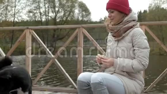 女游客坐在河边的桥上喂狗夏季户外活动和健康的生活方式视频的预览图