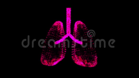 气管支气管内器官的肺视频的预览图