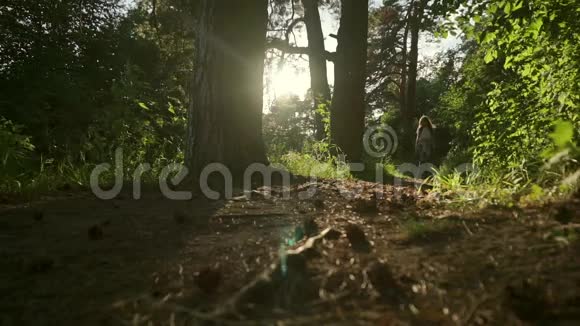 长发黑发女孩走向相机在日落针叶林静态慢镜头宽镜头视频的预览图