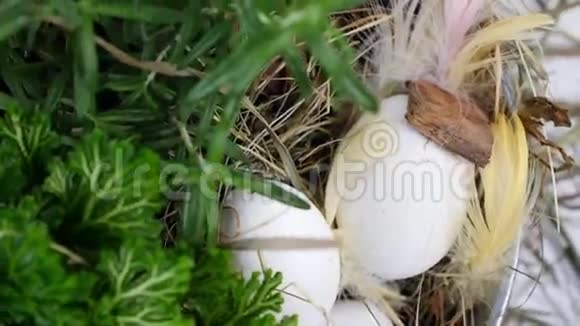 特写从上面看旋转花复活节组成的乡村风格由鸡蛋羽毛绿色植物组成视频的预览图