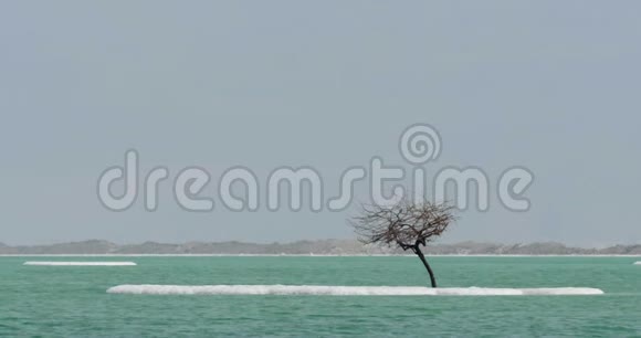 死海水景与咸岛视频的预览图