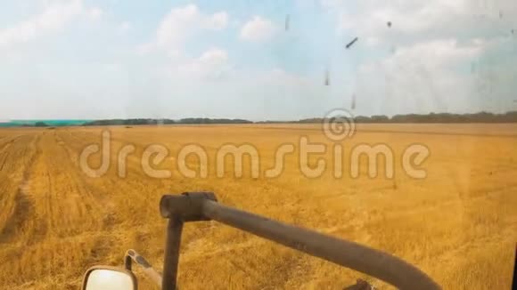 麦粒收获后放入拖拉机面包拖车收割时有小麦的田生活方式农业小麦视频的预览图