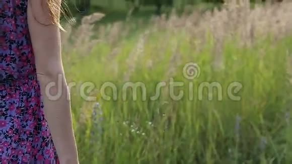 一位年轻漂亮女子的手抚摸草地的特写照片视频的预览图