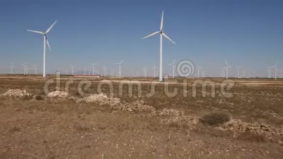 多利放大风车农场视频的预览图
