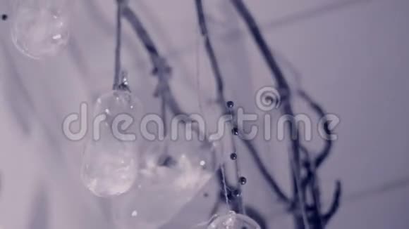 在暮色中在工作室的天花板上玻璃雕像上面挂着白色的羽毛和浆果挂在黑色上视频的预览图