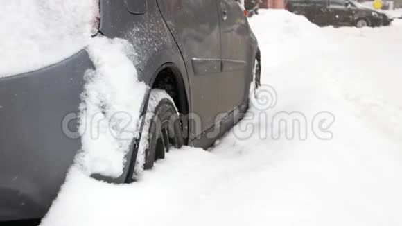 大雪后乘用车视频的预览图