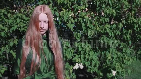 一个长发红发的漂亮女孩站在公园灌木丛附近视频的预览图