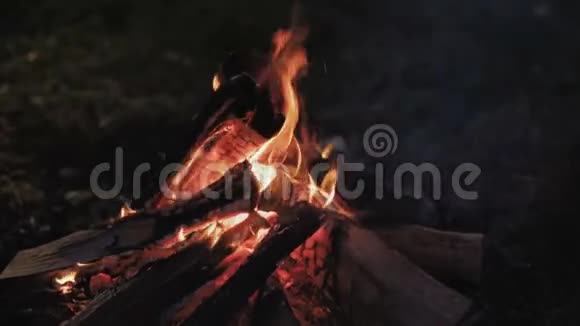 靠近熊熊燃烧的篝火4K视频的预览图