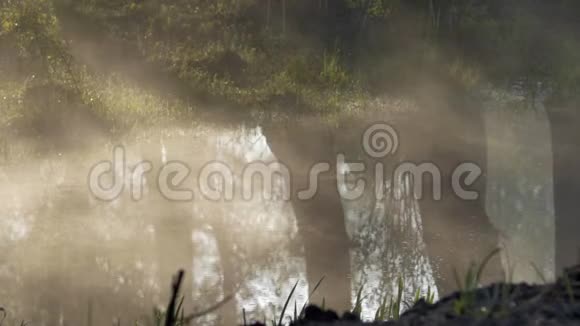 雾沿着水爬行树木的反射视频的预览图