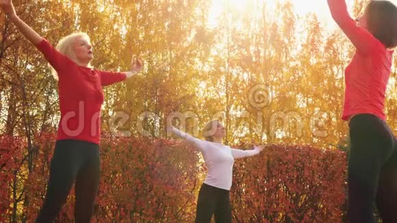 健身女性训练普拉提运动户外锻炼在秋季公园瑜伽女性练习体式视频的预览图