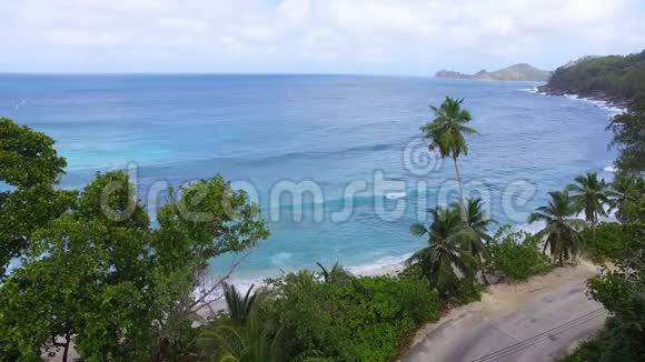 塞舌尔高坂湾海景海鸥鸟瞰图视频的预览图