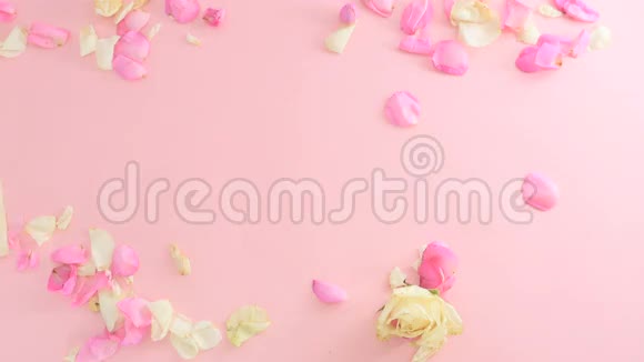 黄色的空纸片正在粉红色背景下的玫瑰花瓣之间移动视频的预览图