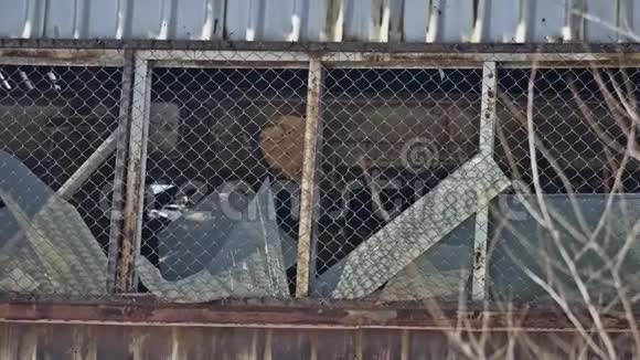 玻璃废弃窗户仓库厂房破损监视户外活动打破了窗户视频的预览图