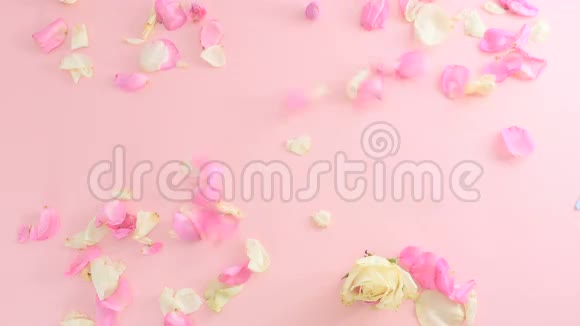 两颗心在粉红色背景下的玫瑰花瓣之间连接在一起视频的预览图