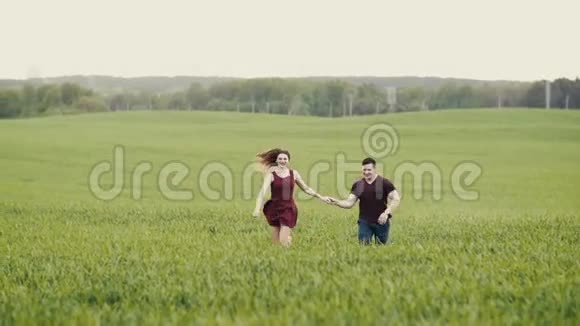一对恋人在麦田里奔跑手牵手微笑着慢着稳健地射击视频的预览图