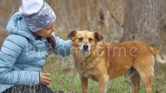 狗宠物和女婴少年特写照片上的快乐女孩在森林里微笑着户外欢快的夹克视频的预览图