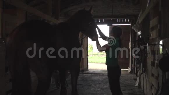 女骑手刷马准备动物打扮视频的预览图