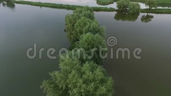 Dnipro河河口的空中拍摄水中有树木视频的预览图
