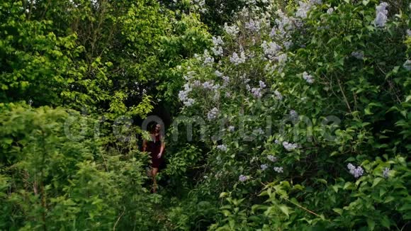 年轻夫妇在森林里穿过丁香花丛大自然中的情人慢莫稳定射击后视视频的预览图
