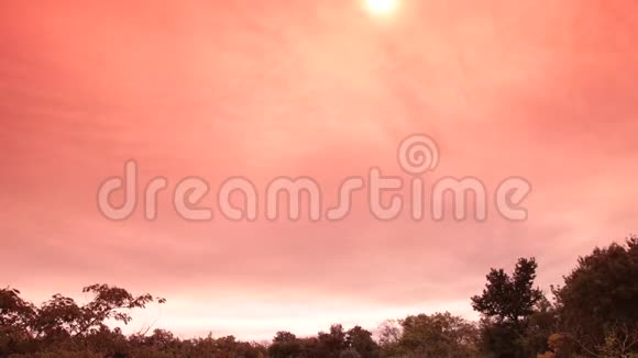 天启天空中的橙色云随着灿烂的太阳移动视频的预览图