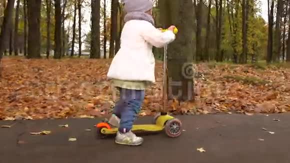 秋天公园里的小女孩骑着她的滑板车快乐的孩子在落叶背景下4克斯泰德姆视频的预览图