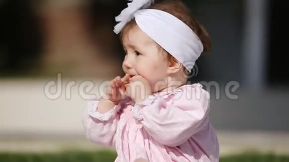 在阳光明媚的日子里在公园里吃烤面包的可爱的小女孩的特写镜头视频的预览图