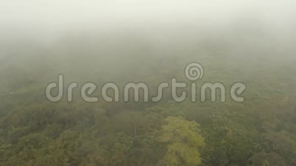 雾中的雨林印度尼西亚贾瓦岛库存车辆视频的预览图