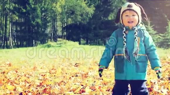 阳光明媚的秋天小男孩在秋天的公园里笑视频的预览图