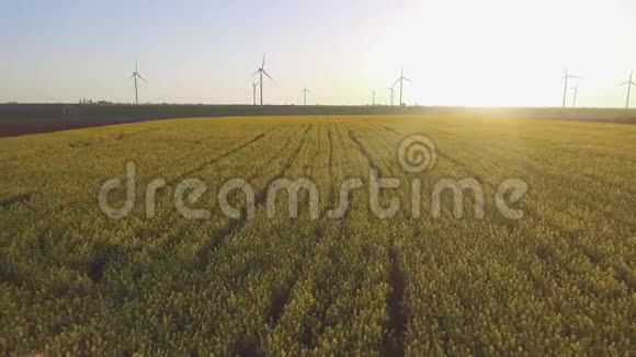 油菜田风力发电机空中景观视频的预览图