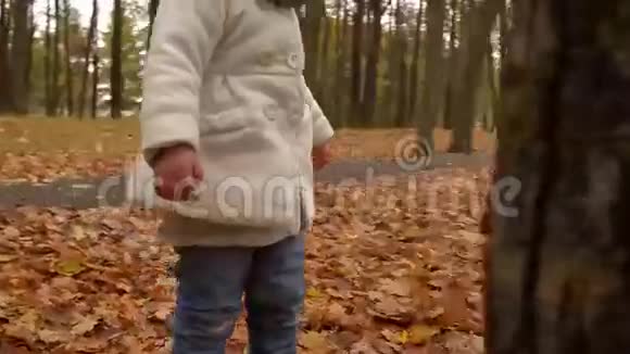 可爱的小女孩在秋天公园玩快乐的孩子在落叶背景下4克斯泰德姆视频的预览图