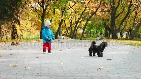 小男孩和狗在秋天公园散步视频的预览图