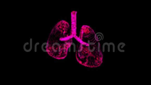 气管支气管内器官的肺视频的预览图